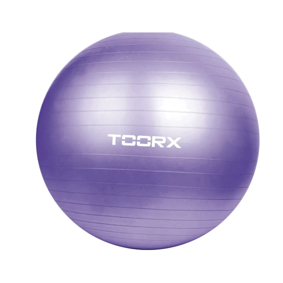 Купить Фитбол  Toorx Gym Ball 75 cm Purple (AHF-013) в Киеве - фото №1